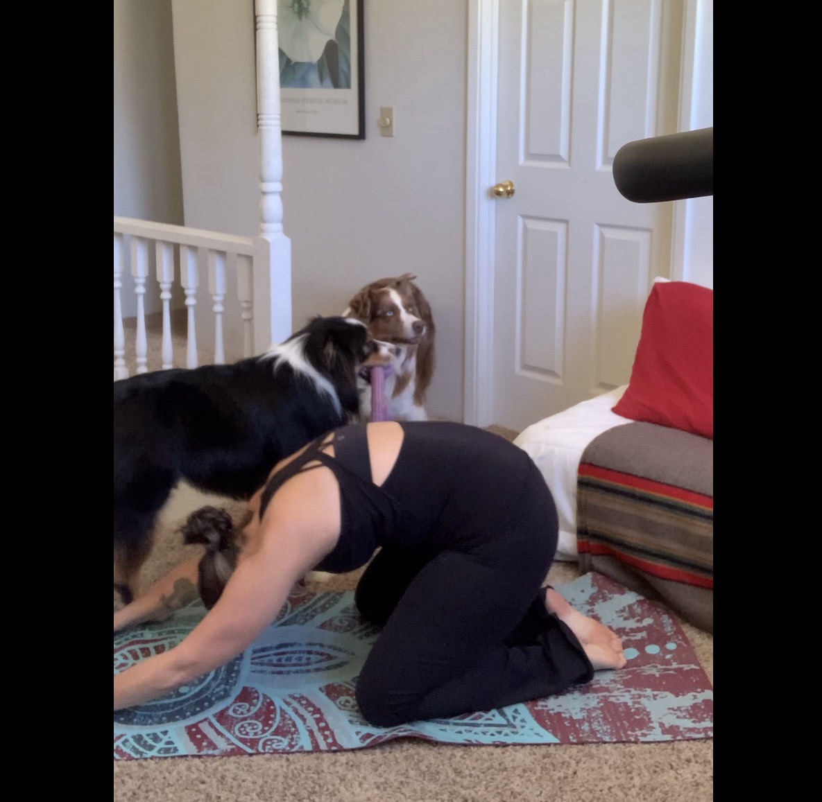 First edition: Yoga for&nbsp;You